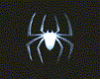 spider01.gif